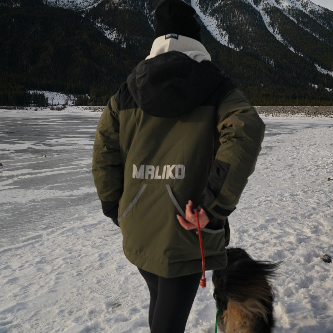 The Ultimate Waterproof Dog Training Jacket