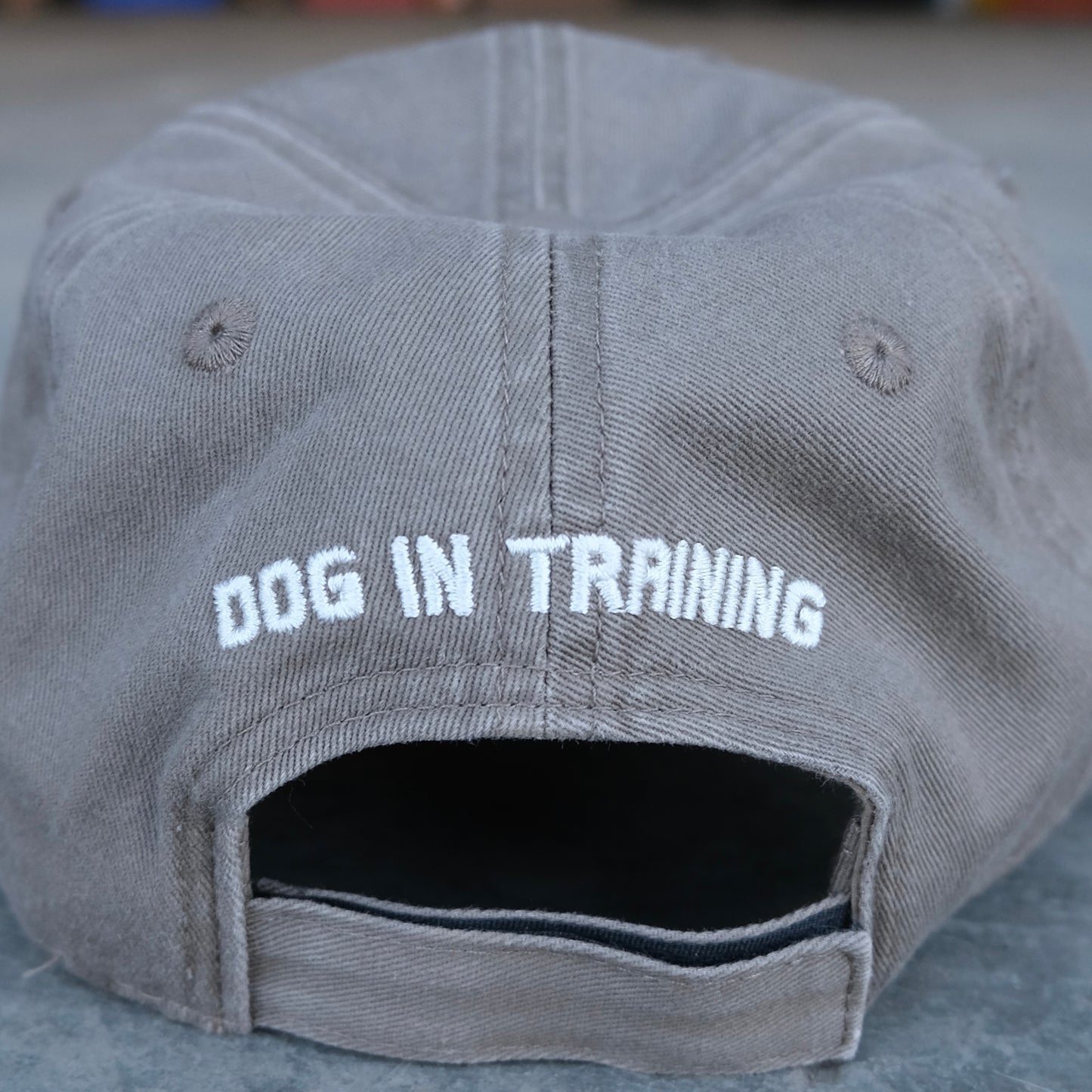 Dog In Training Cap