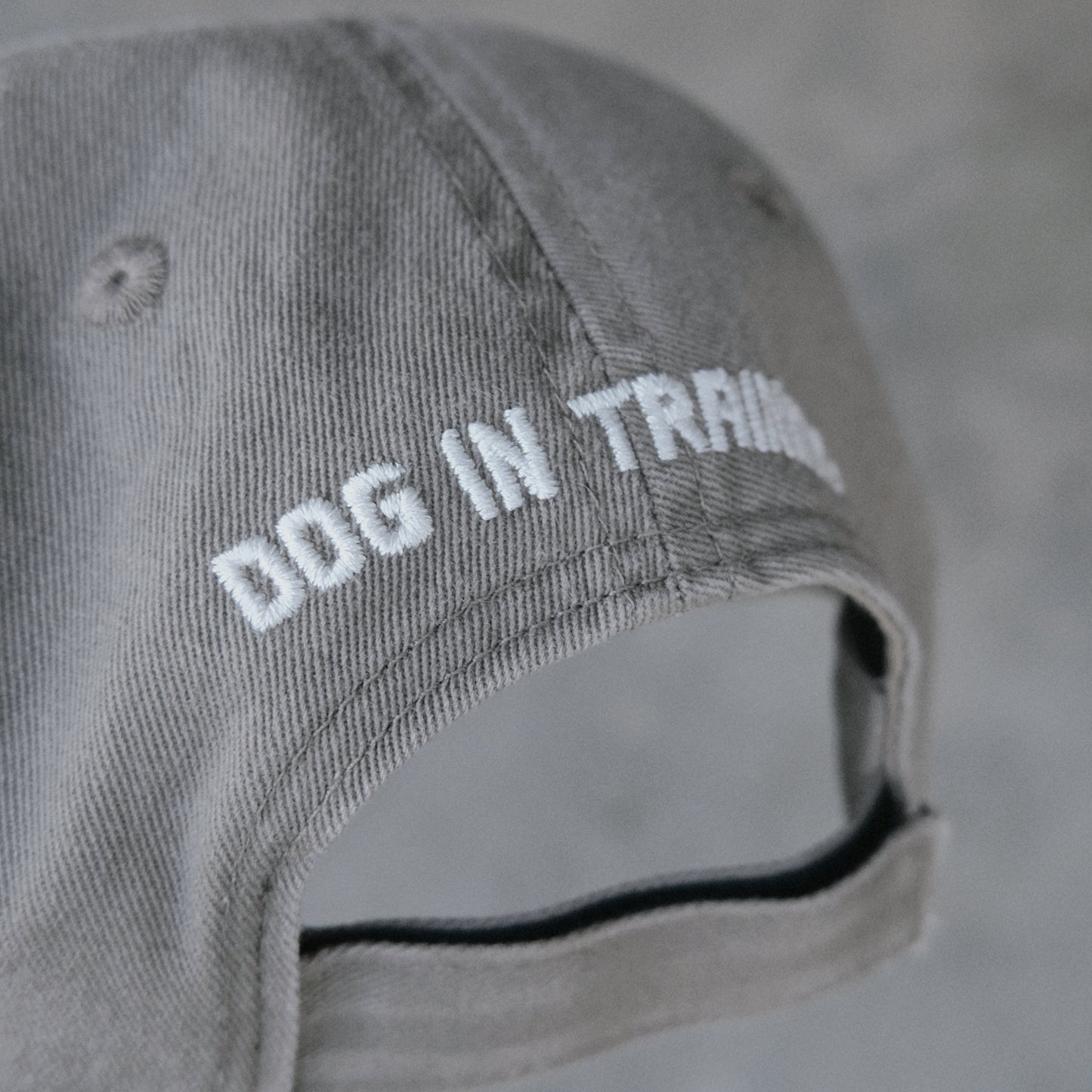 Dog In Training Cap