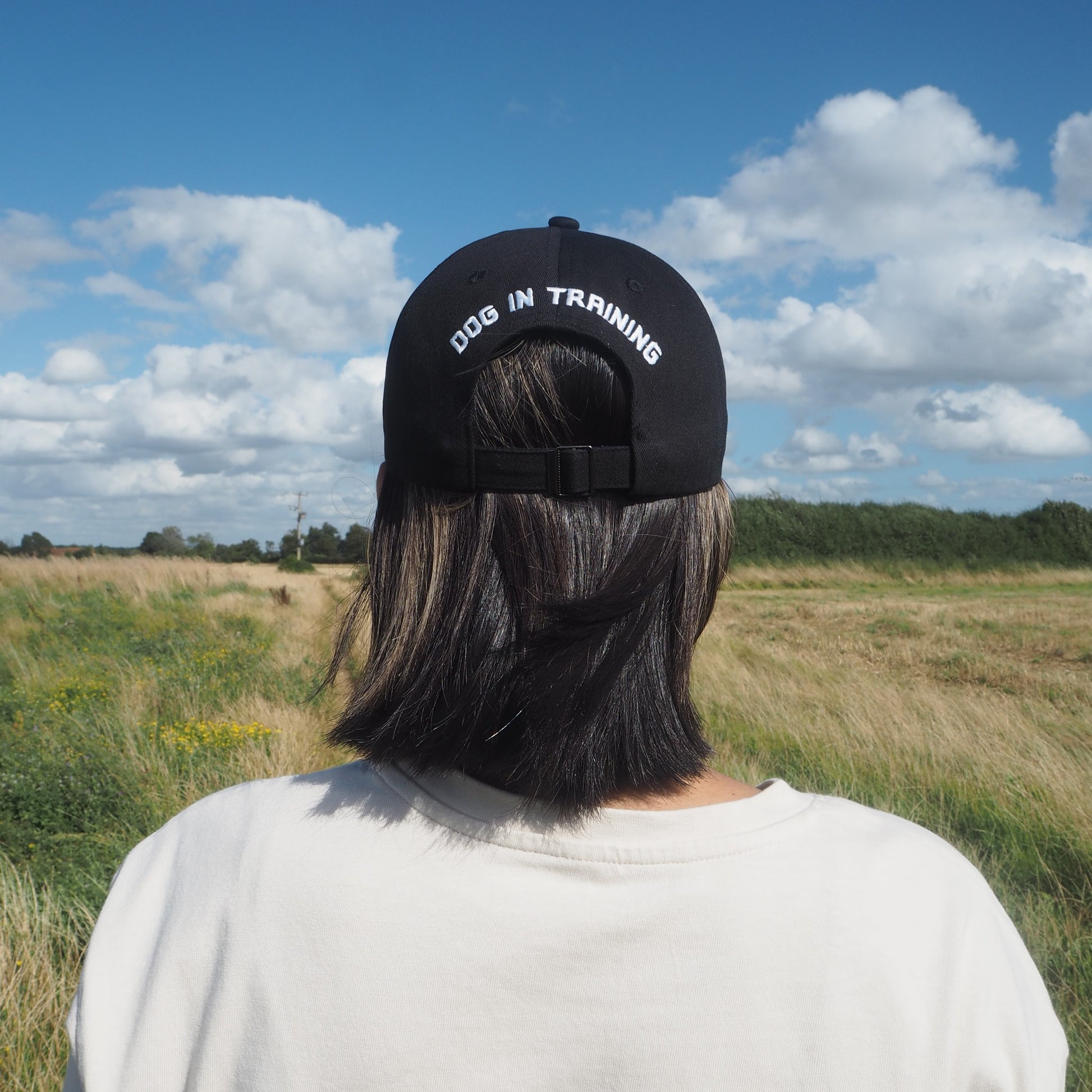 dog training cap