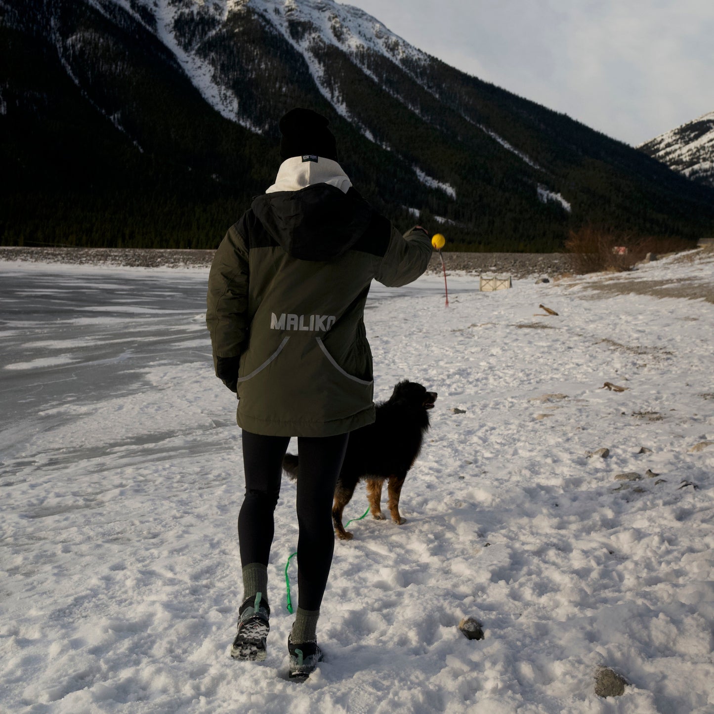 dog training jacket
